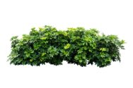 AdobeStock_228784551