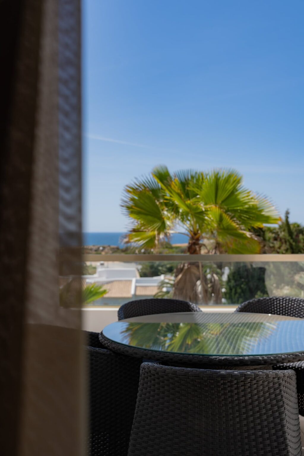 view at the palm from the apartment