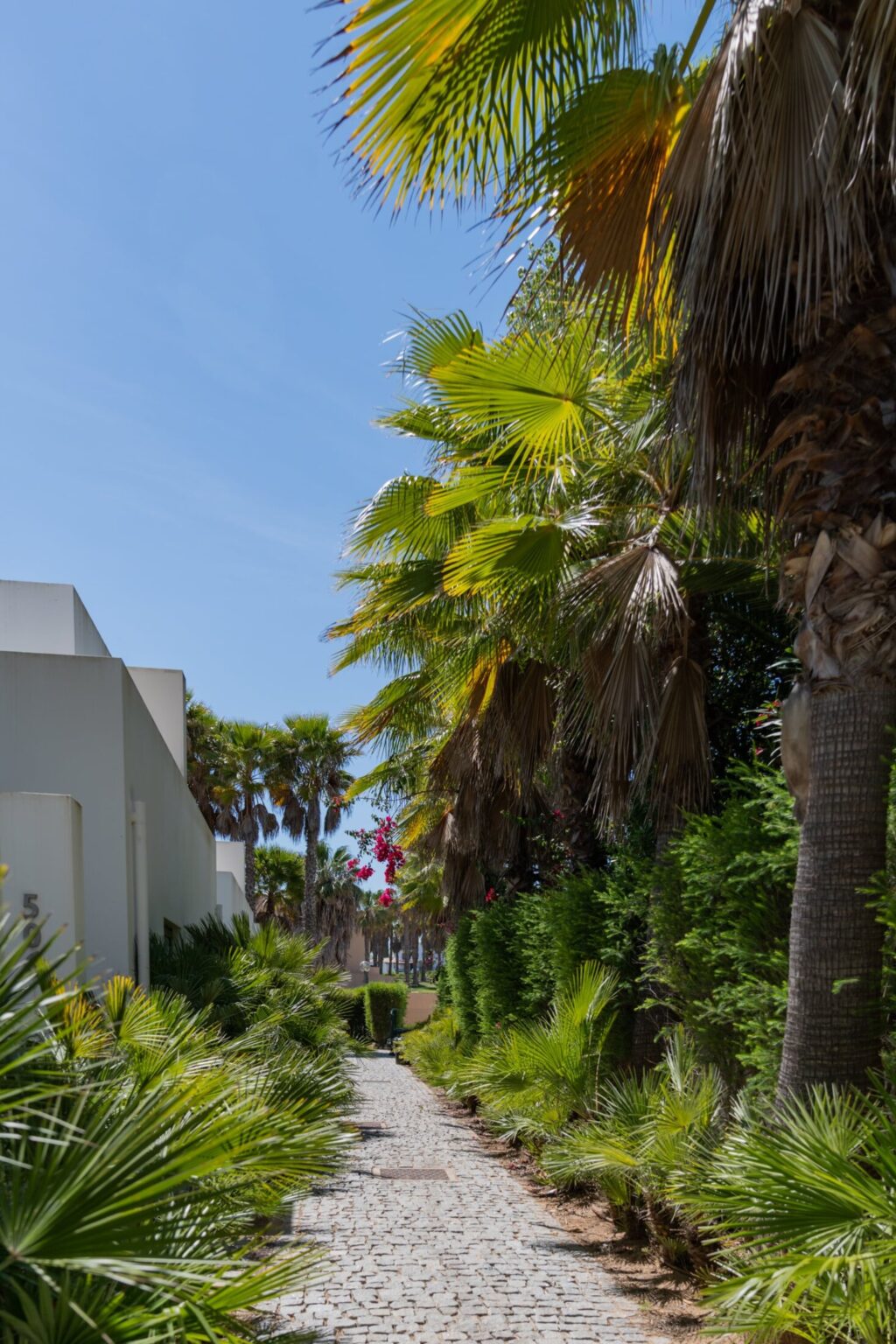 walk path outside the apartments