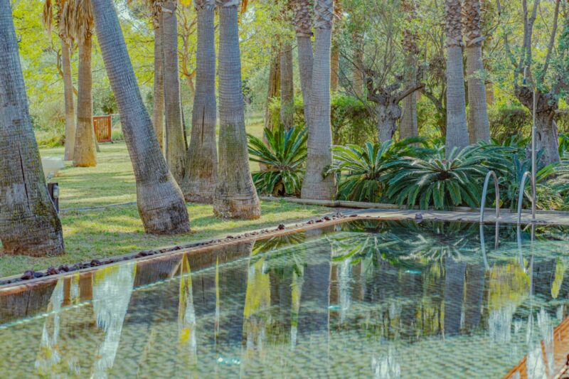 exotic hotel pool